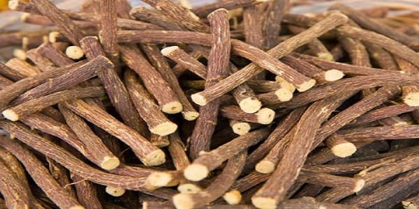 تصویر 5 از قیمت چوب ریشه شیرین بیان + خرید باور نکردنی